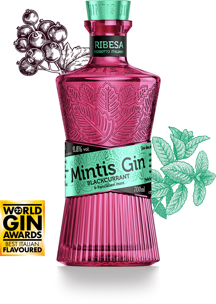 Mintis Ribesa